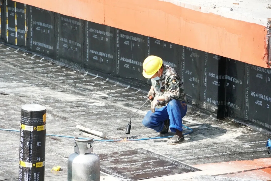 640.webp (11).jpg 640.webp (11).jpg